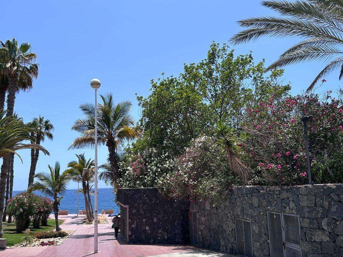 Oceanside path near the complex